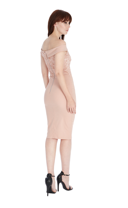 Wedding guest 2025 size 16
